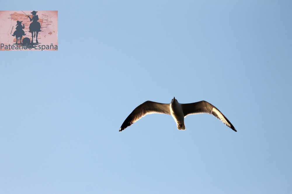 San Martín de Ampurias o Sant Martí d'Empúries